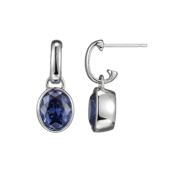 SS Earrings with Tanzanite Crystal